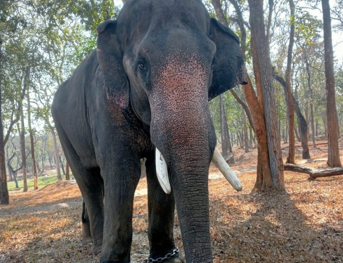 ಝೂ ಅಭಿ ನಿಧನ