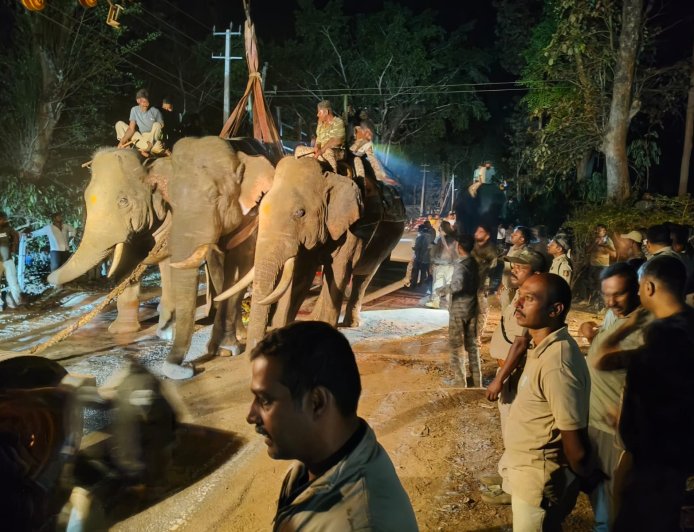 ಸಿದ್ದಾಪುರ;ಬೆಳೆಗಾರ ಗಣಪತಿಯನ್ನು ಬಲಿಪಡೆದ ಕಾಡಾನೆ ಸೆರೆ