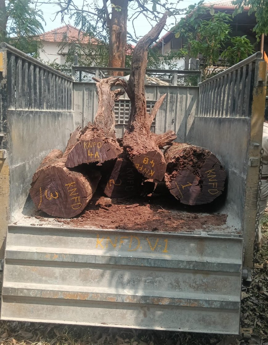 ಬ್ಯಾಡಗೊಟ್ಟ ಗ್ರಾಮದಲ್ಲಿ ಅಕ್ರಮವಾಗಿ ಸಂಗ್ರಹಿಸಿಟ್ಟಿದ್ದ ಬೀಟೆ ನಾಟಗಳು ವಶಕ್ಕೆ