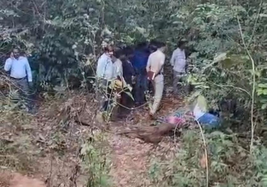 ಕಾಡಾನೆ ದಾಳಿಗೆ ಮಹಿಳೆ ಬಲಿ