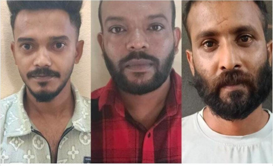 ಕರಿಮೆಣಸು ಕಳವು,ಜಾನುವಾರು ಸಾಗಾಟ,ಆರೋಪಿಗಳ ಬಂಧನ