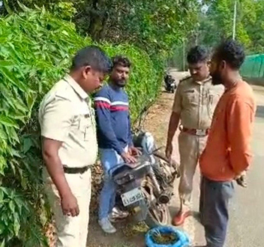 ಸೋಮವಾರಪೇಟೆ;ತೆನೆ ಬರಿತ ಗಾಂಜಾ ಮಾರಾಟ,ಇಬ್ಬರ ಬಂಧನ