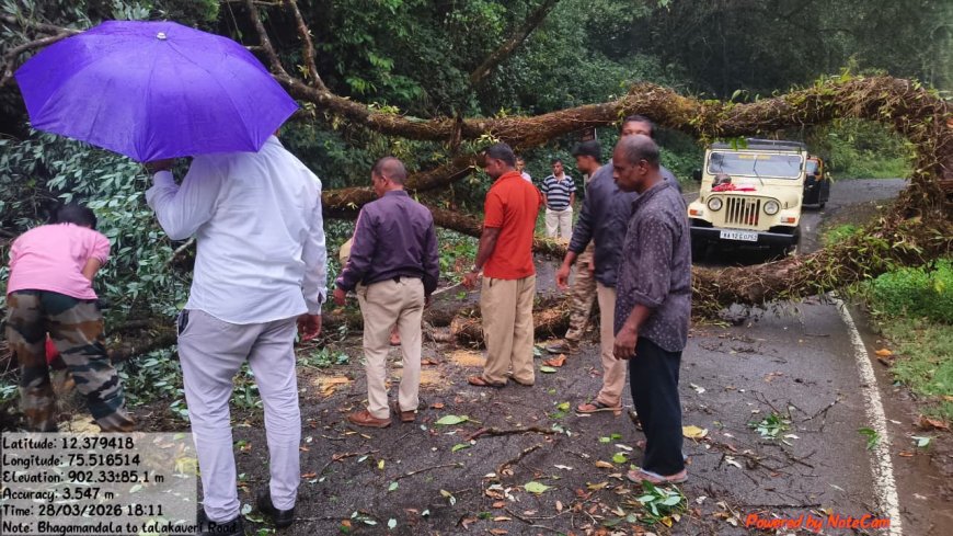 ಭಾಗಮಂಡಲ-ತಲಕಾವೇರಿ ರಸ್ತೆಗೆ ಅಡ್ಡವಾಗಿ ಬಿದ್ದ ಮರ
