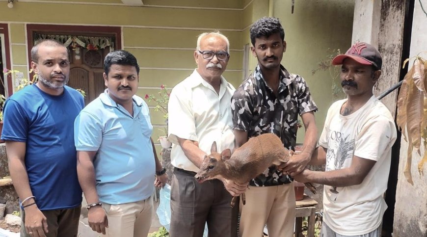 ಮಡಿಕೇರಿ;ಕಾಡು ಕುರಿಯನ್ನು ಅರಣ್ಯ ಇಲಾಖೆಗೆ ಒಪ್ಪಿಸಿದ ಸಾಂಸ್ಕೃತಿಕ ಕಲಾ ವೇದಿಕೆ ಸದಸ್ಯರು