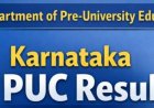 ದ್ವಿತೀಯ ಪಿಯುಸಿ ಫಲಿತಾಂಶ ಪ್ರಕಟ