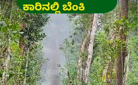 ಸಿದ್ದಾಪುರ;ಚಲಿಸುತ್ತಿದ್ದ ಕಾರಿನಲ್ಲಿ ಬೆಂಕಿ