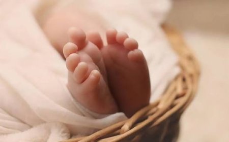 ಬೇತ್ರಿ ಕಾಫಿ‌ ತೋಟದಲ್ಲಿ ನವಜಾತ ಶಿಶು ಪತ್ತೆ