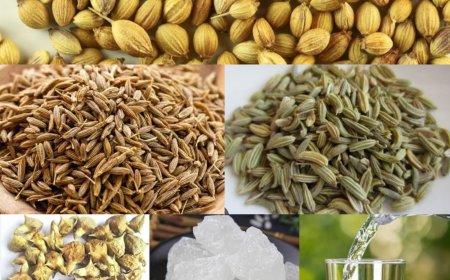 ಮೂತ್ರ ಮಾಡುವಾಗ ಉರಿ, ಪದೇ ಪದೇ ಮೂತ್ರವಿಸರ್ಜನೆ ಆಗುತ್ತಾ ಇದೆಯೇ!