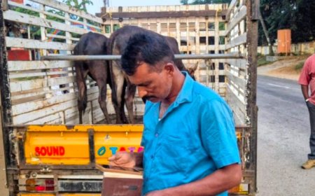 ಗೂಡ್ಸ್ ವಾಹನದಲ್ಲಿ ಜಾನುವಾರುಗಳ ಸಾಗಾಟ:ವಾಹನ ಪೊಲೀಸ್ ವಶಕ್ಕೆ