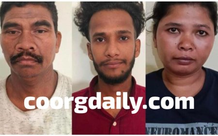 ಮಡಿಕೇರಿ;ಗಾಂಜಾ ಮಾರಾಟ ಮತ್ತು ಸರಬರಾಜು ‌ಮಾಡುತ್ತಿದ್ದ ಮೂವರ ಬಂಧನ