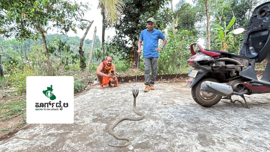 ಸ್ಕೂಟಿಯಲ್ಲಿ ನಾಗರಹಾವು ಪತ್ತೆ