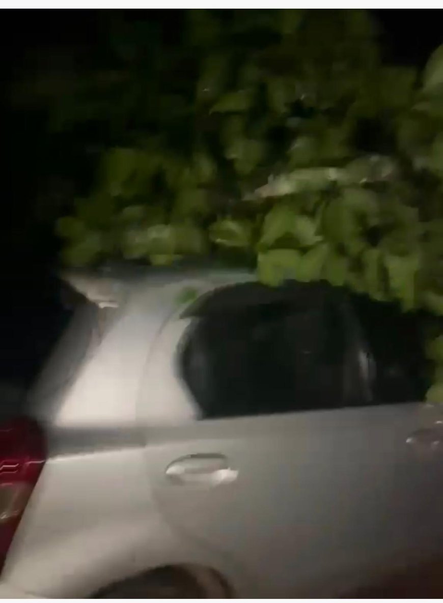 ಕೊಂಡಂಗೇರಿಯಲ್ಲಿ ಭಾರಿ ಗಾಳಿ ಮಳೆಗೆ ಮರ ಬಿದ್ದು ಮನೆ ಹಾಗೂ ವಾಹನಗಳಿಗೆ ಹಾನಿ