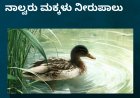 ಬಾತುಕೋಳಿ ಹಿಡಿಯಲು ಹೋಗಿ ನಾಲ್ವರು ಮಕ್ಕಳು ನೀರುಪಾಲು