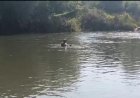 ನಾಪೋಕ್ಲು; ನೀರಿನಲ್ಲಿ ಮುಳುಗಿ ಯುವಕ ಸಾವು