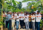 ತೋರ ಗ್ರಾಮದಲ್ಲಿ ನೂತನ ಕಾಂಕ್ರೀಟ್ ರಸ್ತೆ ಉದ್ಘಾಟಿಸಿದ ಶಾಸಕ ಎಎಸ್ ಪೊನ್ನಣ್ಣ
