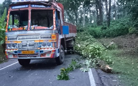 ಗೋಣಿಕೊಪ್ಪ: ಲಾರಿಯ ಮೇಲೆ ಮರ ಬಿದ್ದು, ಲಾರಿಯಲ್ಲಿ ಪ್ರಯಾಣಿಸುತ್ತಿದ್ದ 8 ಕಾರ್ಮಿಕರಿಗೆ ಗಾಯ