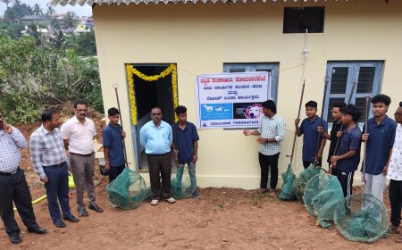 ಸೋಮವಾರಪೇಟೆ:ಬೀದಿ ನಾಯಿಗಳಿಗೆ ಸಂತಾನ ಹರಣ ಚಿಕಿತ್ಸೆ
