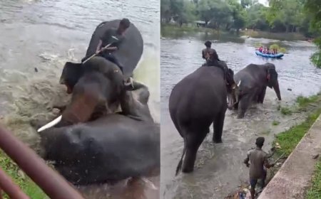 ದುಬಾರೆ ದುರಂತ: ಇಬ್ಬರು ಅರಣ್ಯ ಅಧಿಕಾರಿಗಳ ವಿರುದ್ಧ ಉಪ ಲೋಕಾಯುಕ್ತ ಕೇಸ್