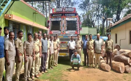 ಕೊಡಗಿನಿಂದ  ಕಳ್ಳ ಸಾಗಾಟ ಮಾಡುತಿದ್ದ 28 ಲಕ್ಷ ರೂ ಮೌಲ್ಯದ  ಬೀಟಿ ಮರ ಸಹಿತ ಲಾರಿ ವಶಪಡಿಸಿಕೊಂಡ ಅರಣ್ಯ ಇಲಾಖೆ
