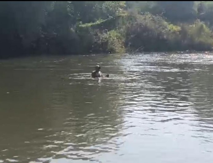 ನಾಪೋಕ್ಲು; ನೀರಿನಲ್ಲಿ ಮುಳುಗಿ ಯುವಕ ಸಾವು