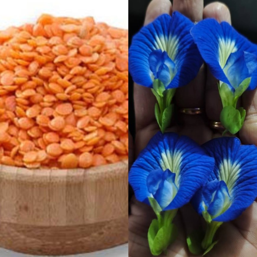 ಬಿಸಿಲಿಗೆ ಮುಖ ಸುಟ್ಟಿ ಕೆಂಪು ಅಥವಾ ಕಪ್ಪು ಕಲೆಗಳು ಆಗಿದ್ದರೆ ಇಲ್ಲಿದೆ ನೋಡಿ ಮನೆ ಮದ್ದು