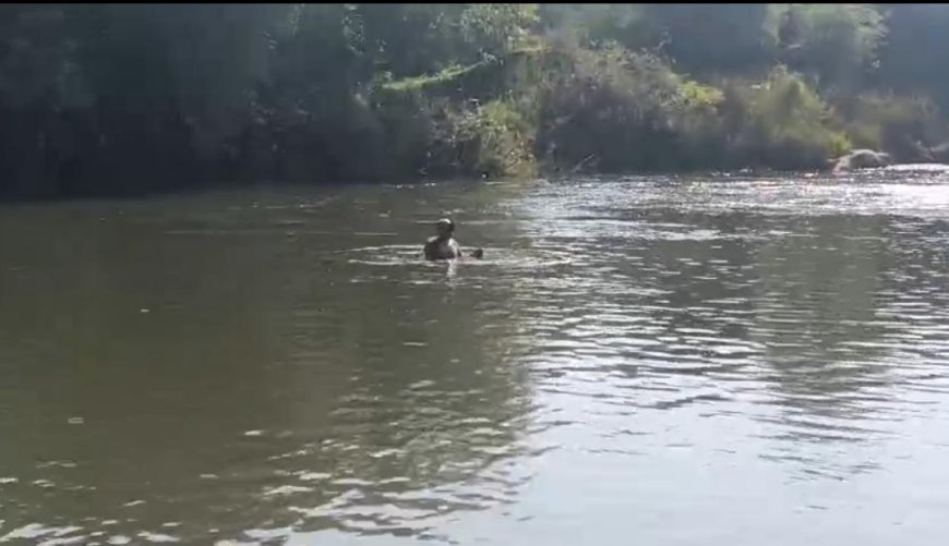 ನಾಪೋಕ್ಲು; ನೀರಿನಲ್ಲಿ ಮುಳುಗಿ ಯುವಕ ಸಾವು