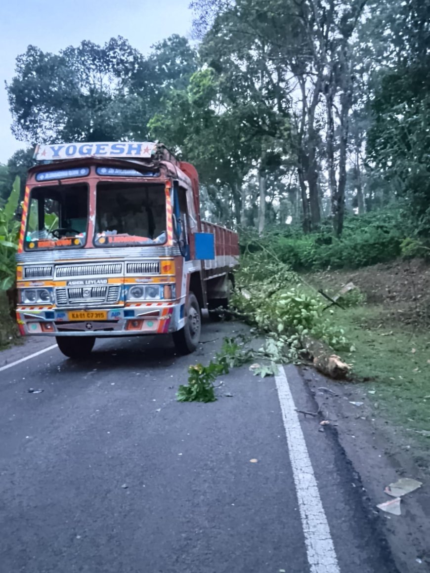 ಗೋಣಿಕೊಪ್ಪ: ಲಾರಿಯ ಮೇಲೆ ಮರ ಬಿದ್ದು, ಲಾರಿಯಲ್ಲಿ ಪ್ರಯಾಣಿಸುತ್ತಿದ್ದ 8 ಕಾರ್ಮಿಕರಿಗೆ ಗಾಯ