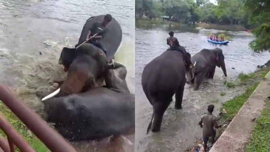 ದುಬಾರೆ ದುರಂತ: ಇಬ್ಬರು ಅರಣ್ಯ ಅಧಿಕಾರಿಗಳ ವಿರುದ್ಧ ಉಪ ಲೋಕಾಯುಕ್ತ ಕೇಸ್