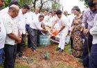 ಒಂದು ಗಿಡ ತಾಯಿಯ ಹೆಸರಿನಲ್ಲಿ ಕಾರ್ಯಕ್ರಮಕ್ಕೆ ಸಂಸದ ಯದುವೀರ್ ಒಡೆಯರ್ ಚಾಲನೆ