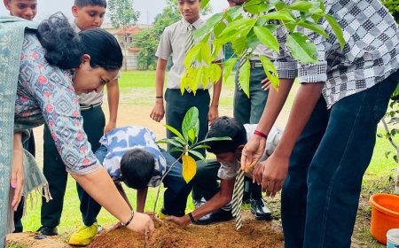 ವಿರಾಜಪೇಟೆ; ಪ್ರಗತಿ ಶಾಲೆಯಲ್ಲಿ ವಿಶ್ವ ಪರಿಸರ ದಿನಾಚರಣೆ