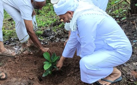 ಕಲ್ಲುಬಾಣೆ ದಾರುಲ್ ಇಸ್ಲಾಂ ಮದರಸದಲ್ಲಿ ವಿಶ್ವ ಪರಿಸರ ದಿನಾಚರಣೆ