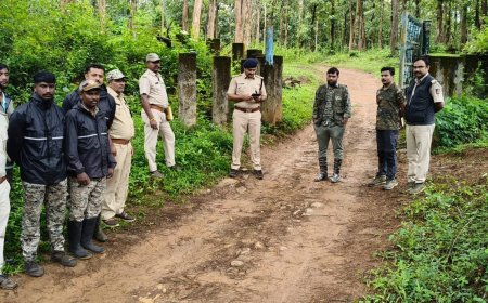 ಮಾಲ್ದಾರೆ ಅರಣ್ಯ ಗಡಿಭಾಗಕ್ಕೆ ಡಿಸಿಎಫ್ ಅಭಿಷೇಕ್ ಭೇಟಿ; ಕಾಡಾನೆಗಳ ಹಾವಳಿ ತಡೆಗೆ ಅಗತ್ಯ ಕ್ರಮ ಕೈಗೊಳ್ಳಲು ಸೂಚನೆ