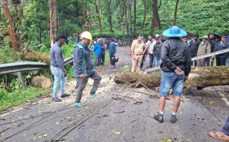 ಜಿಲ್ಲೆಯಲ್ಲಿ ಬಿರುಸುಗೊಂಡ ಮಳೆ:ಕಡಗದಾಳು ಸಮೀಪ ಮರಬಿದ್ದು ರಸ್ತೆ ಸಂಚಾರಕ್ಕೆ ತೊಡಕು