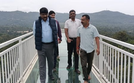 ಗಾಜಿನ ಸೇತುವೆ ಸ್ಥಳ ವೀಕ್ಷಿಸಿದ ಜಿಲ್ಲಾಧಿಕಾರಿ ಪ್ರವಾಸಿಗರ ಸುರಕ್ಷತೆ ಗಮನಹರಿಸಿ ಮುಂದಿನ ಕ್ರಮ: ಸೋಮಶೇಖರ್