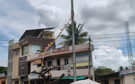 ಕುಶಾಲನಗರ:ನೆರಳು, ಆಶ್ರಯ ನೀಡುತ್ತಿದ್ದ ವೃಕ್ಷಕ್ಕೆ ಕೊಡಲಿ ಪೆಟ್ಟು