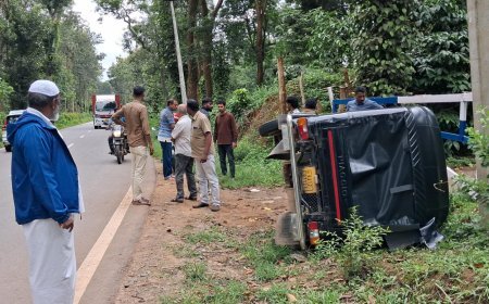 ಓವರ್‌ಟೇಕ್ ಯತ್ನ: ಆಟೋಗೆ ಖಾಸಗಿ ಬಸ್ ಡಿಕ್ಕಿ, ಚಾಲಕ ಗಂಭೀರ