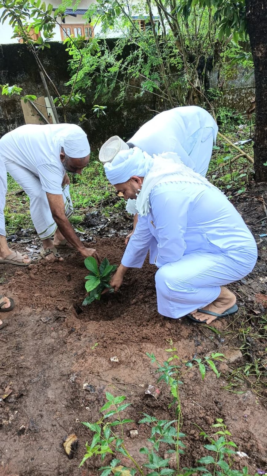 ಕಲ್ಲುಬಾಣೆ ದಾರುಲ್ ಇಸ್ಲಾಂ ಮದರಸದಲ್ಲಿ ವಿಶ್ವ ಪರಿಸರ ದಿನಾಚರಣೆ