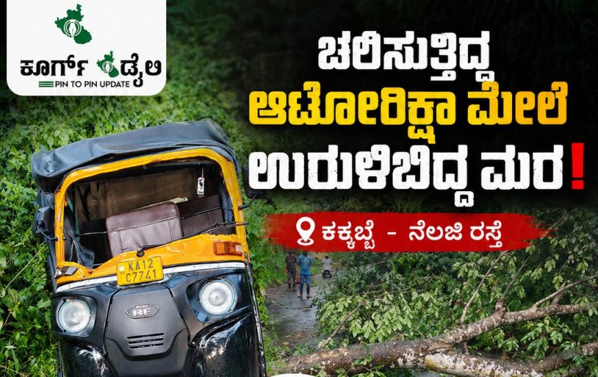 ಕಕ್ಕಬ್ಬೆ -ನೆಲಜಿ ರಸ್ತೆಯಲ್ಲಿ ಚಲಿಸುತ್ತಿದ್ದ ಆಟೋರಿಕ್ಷಾ ಮೇಲೆ ಉರುಳಿಬಿದ್ದ ಮರ;ಚಾಲಕನಿಗೆ ಗಂಭೀರ ಗಾಯ