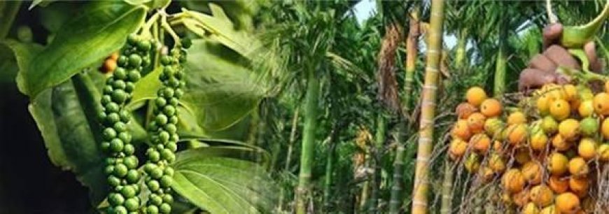 ಹವಾಮಾನ ಆಧಾರಿತ ಬೆಳೆ ವಿಮಾ ಯೋಜನೆ ನೋಂದಣಿಗೆ ಮನವಿ