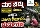 ಮರ ಬಿದ್ದು ಅಸ್ಸಾಂ ಮೂಲದ ಇಬ್ಬರು ಮಹಿಳಾ ಕಾರ್ಮಿಕರು ದುರ್ಮರಣ