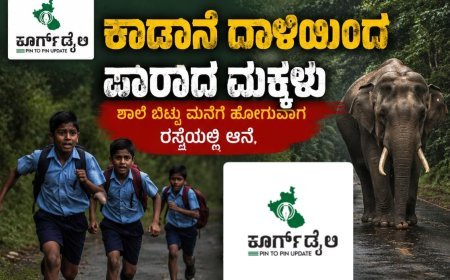 ಕಾಡಾನೆ ದಾಳಿಯಿಂದ ಪಾರಾದ ಮಕ್ಕಳು:ಶಾಲೆ ಬಿಟ್ಟು ಮನೆಗೆ ಹೋಗುವಾಗ ರಸ್ತೆಯಲ್ಲಿ ಆನೆ