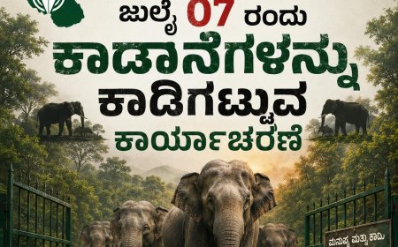ಜುಲೈ 07 ರಂದು ಕಾಡಾನೆಗಳನ್ನು ಕಾಡಿಗಟ್ಟುವ ಕಾರ್ಯಾಚರಣೆ