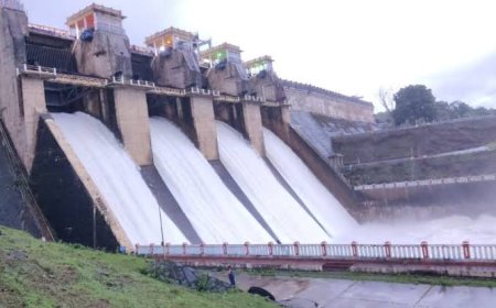 ಕುಡಿಯುವ ನೀರಿಗೆ ಮಾತ್ರ ಜಲಾಶಯದ ನೀರು ಬಳಕೆ: ರೈತರಿಗೆ ಕೃಷಿಗೆ ನೀರು ಹರಿಸುವುದು ಕಷ್ಟ: ಜಿಲ್ಲಾಧಿಕಾರಿ ಎಸ್.ಜೆ ಸೋಮಶೇಖರ್