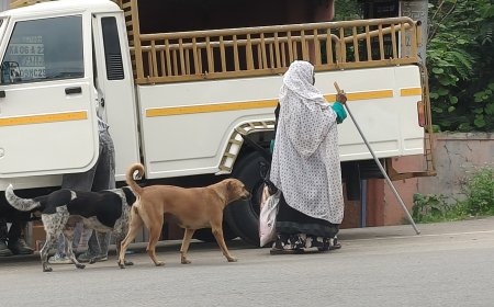 ಕುಶಾಲನಗರದಲ್ಲೊಬ್ಬರು ಬೀದಿ ನಾಯಿಗಳ ಪಾಲಿನ ಅನ್ನಪೂರ್ಣೆ !