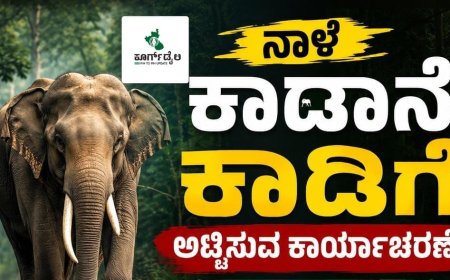 ನಾಳೆ ಕಾಡಾನೆ ಕಾಡಿಗೆ ಅಟ್ಟಿಸುವ ಕಾರ್ಯಾಚರಣೆ