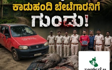 ಮಲೆ ಮಹದೇಶ್ವರ ಅಭಯಾರಣ್ಯದಲ್ಲಿ ಕಾಡುಹಂದಿ ಬೇಟೆಗಾರನಿಗೆ ಗುಂಡು: ಕೊಡಗಿನ ಅನ್ವಿತ್ ಬಂಧನ