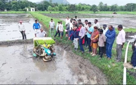 ಮಳೆ ಕೊರತೆ ನಡುವೆಯೂ ಭತ್ತದ ಇಳುವರಿ ಕಾಪಾಡಲು ಸುಧಾರಿತ ಬೇಸಾಯ ಕ್ರಮ ಅಳವಡಿಸಿಕೊಳ್ಳಿ: ರೈತರಿಗೆ ಜಂಟಿ ಕೃಷಿ ನಿರ್ದೇಶಕರ ಸಲಹೆ