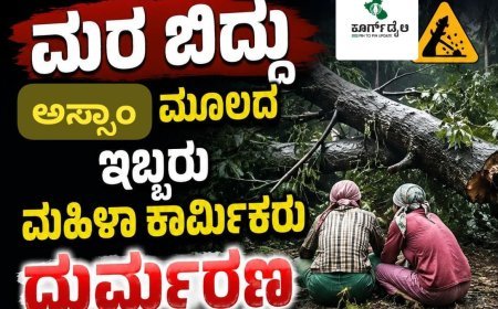 ಮರ ಬಿದ್ದು ಅಸ್ಸಾಂ ಮೂಲದ ಇಬ್ಬರು ಮಹಿಳಾ ಕಾರ್ಮಿಕರು ದುರ್ಮರಣ