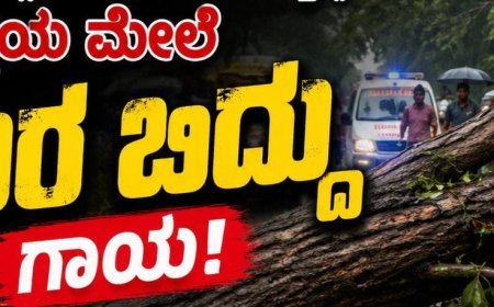 ರಸ್ತೆಯಲ್ಲಿ ನಡೆದು ಹೋಗುತ್ತಿದ್ದ ವ್ಯಕ್ತಿಯ ಮೇಲೆ ಮರ ಬಿದ್ದು ಗಾಯ