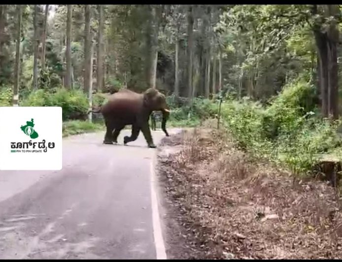 ಕಾಡಾನೆಗಳನ್ನು ಕಾಡಿಗಟ್ಟುವ ಕಾರ್ಯಾಚರಣೆ ಯಶಸ್ವಿ